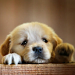 Meet your Posher, Zach